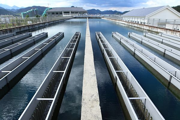 1731303107989855.jpg 自來(lái)水廠.jpg
