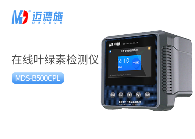 1732512119589672.jpg 葉綠素.jpg